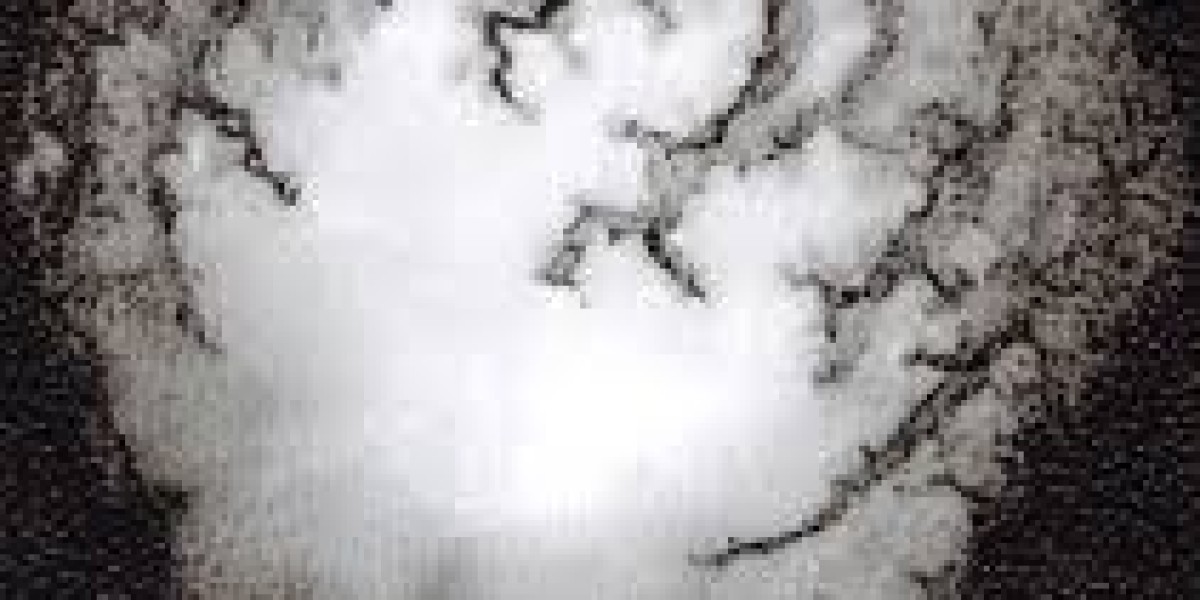 Key Drivers and Insights for the Global Fumed Silica Industry Market Growth Forecast 2030
