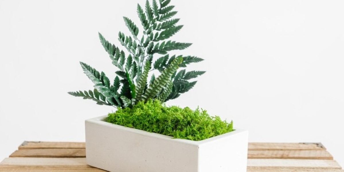 Artificial Plants Market Dynamic Trends Fueling Demand in Urban Spaces