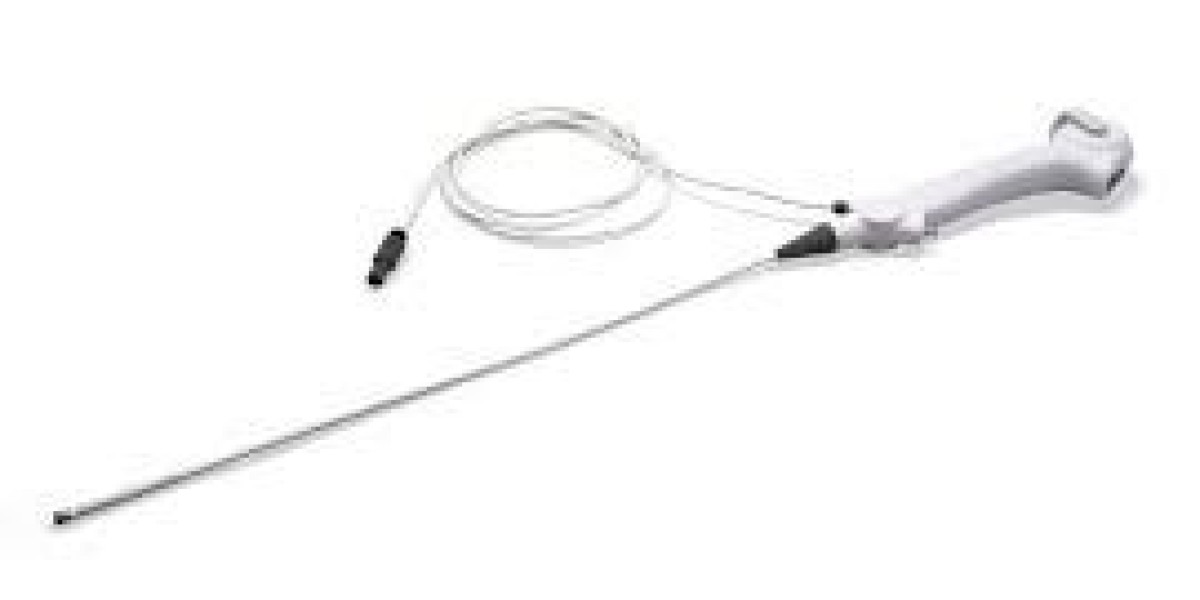 Disposable Endoscopes Market: Winning Strategies for Sustainable Growth and Adoption