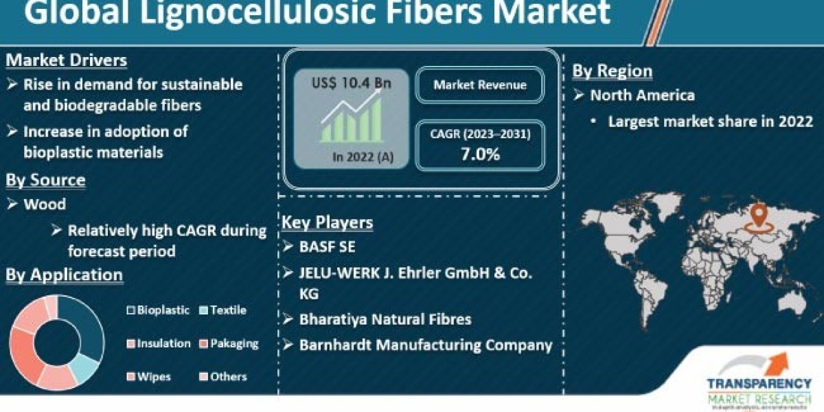 Lignocellulosic Fibers Market Analysis, Growth, Trend and Forecast 2031
