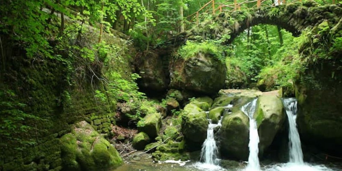 Hiking in Luxembourg: Best Nature Trails & Gorge Walks