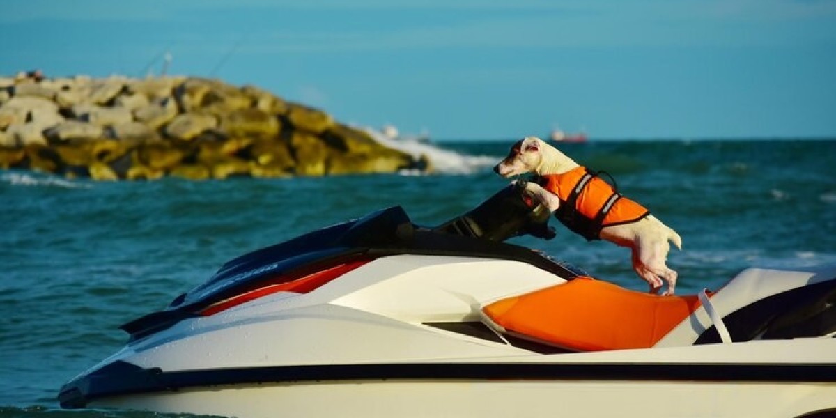 Leisure Power Boat Market Impacting Factors Shaping the Global Marine Leisure Industry