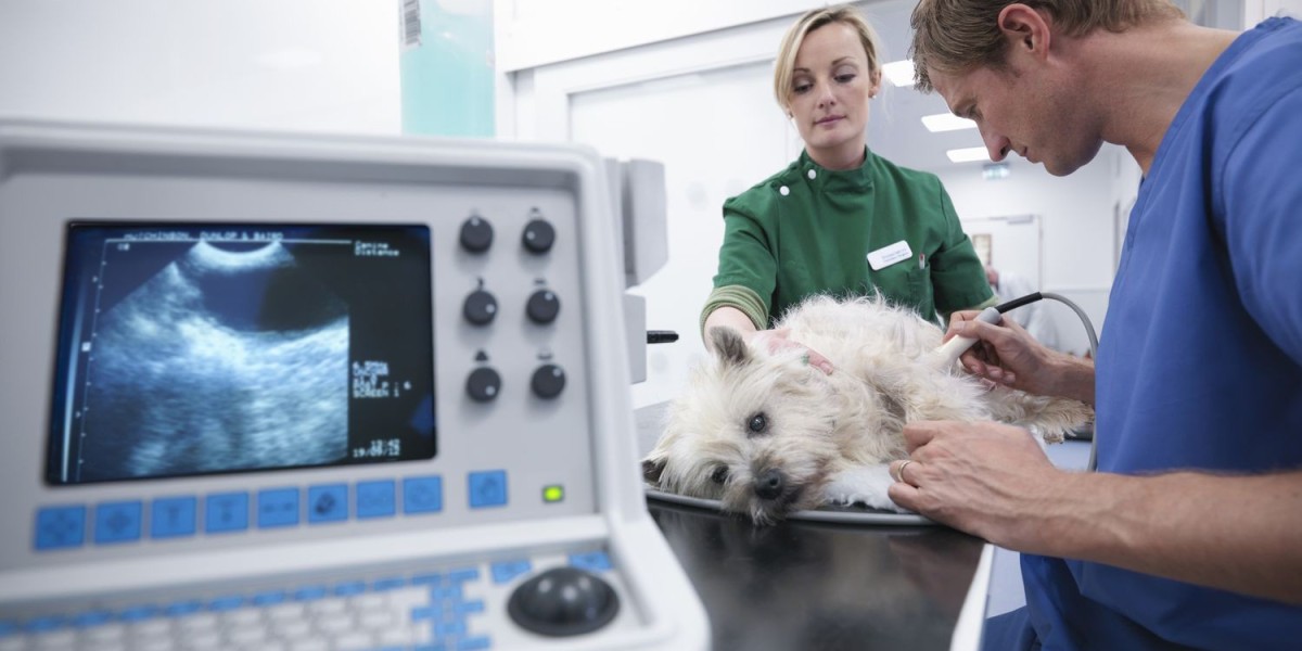 Understanding Buyer Behavior in the Expanding Veterinary Ultrasound Scanner Market
