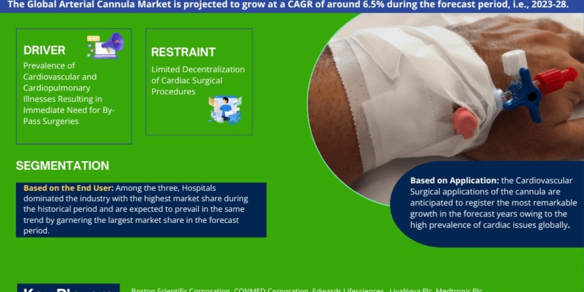 Arterial Cannula Market Expected to Grow at 6.5% CAGR | Key Trends & Forecast to 2028
