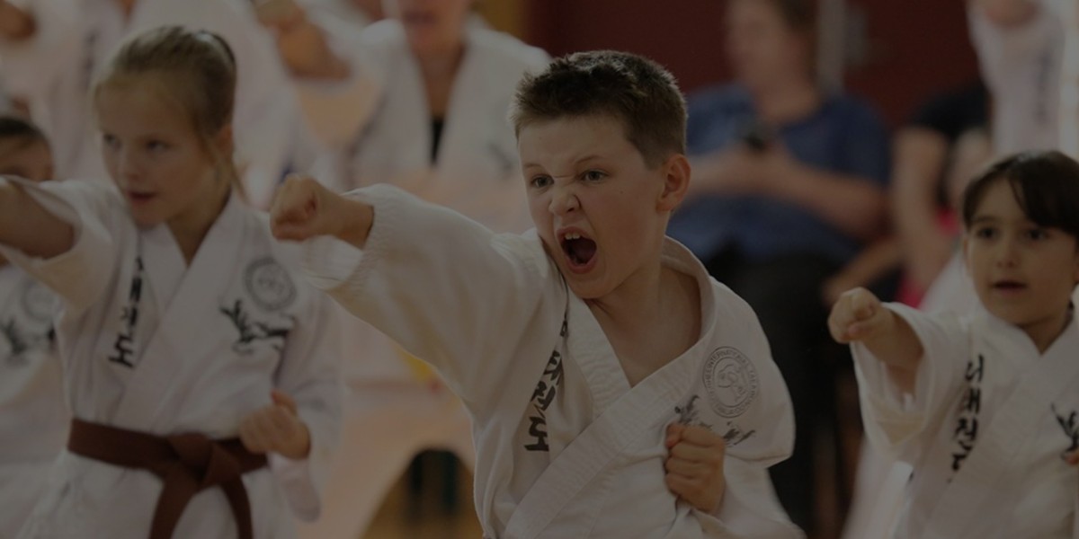 Taekwondo Arncliffe – Empowering Minds and Bodies Through Martial Arts