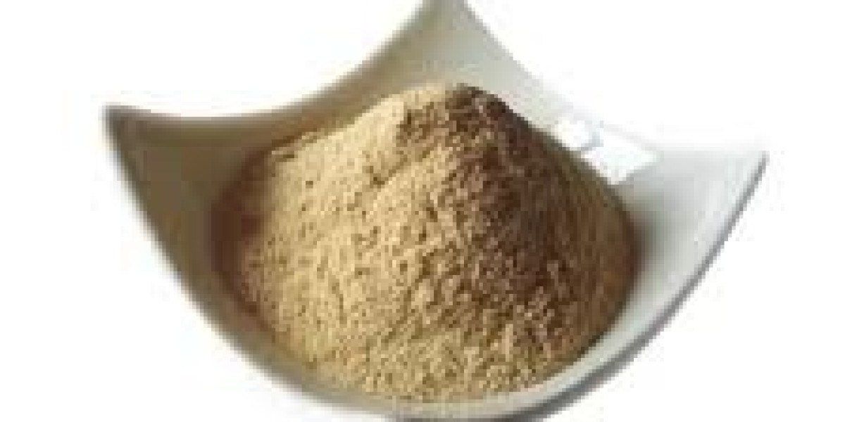 Yeast Nucleotides Market – Forecasting Growth Trajectories and Regional Demand through 2030