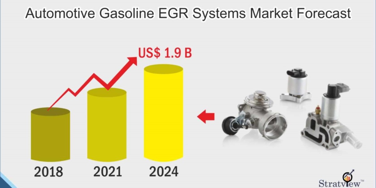 A Cleaner Burn – The Enduring Relevance of Gasoline EGR Systems