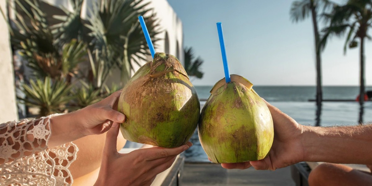 Coconut Water Market Opportunities: Expanding Horizons in a Growing Industry