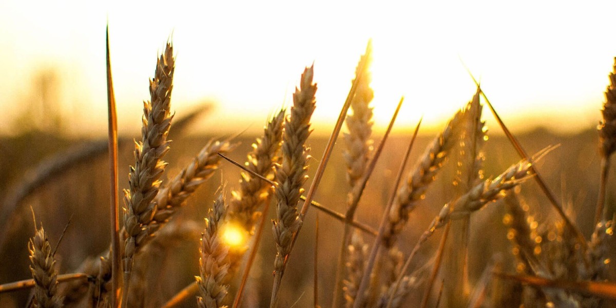 Detailed Project Report on Chelated Micronutrients Manufacturing Plant
