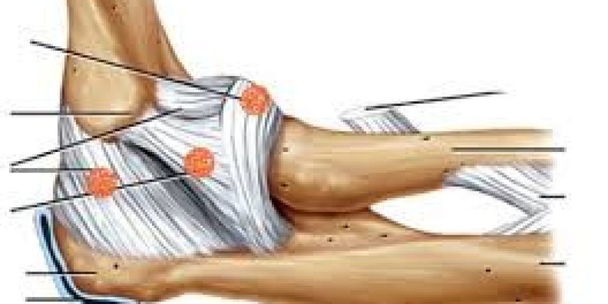 Comprehensive Forecast on Artificial Tendons and Ligaments Market Growth to 2030