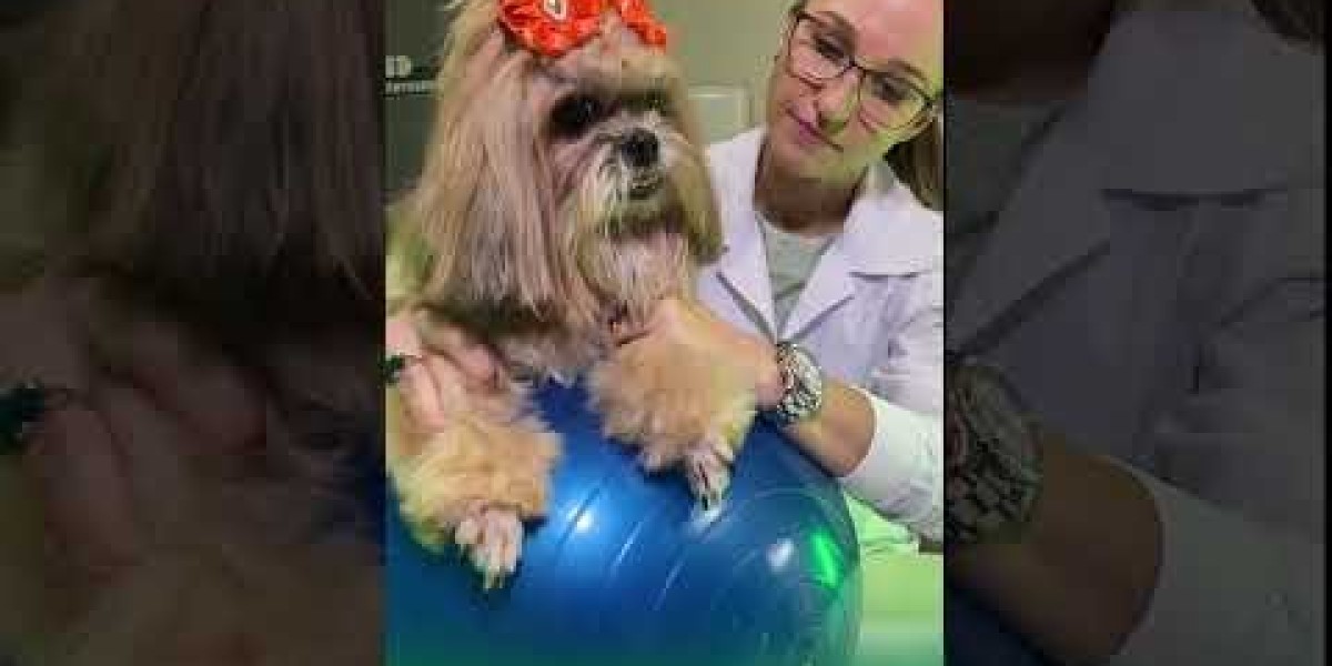 Potássio em Cães com Parvovirose: O Que Você Precisa Saber