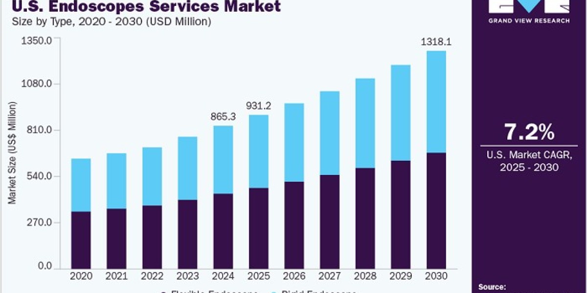U.S. Endoscopes Services Market 2030: Advancements in Endoscope Cleaning Technology
