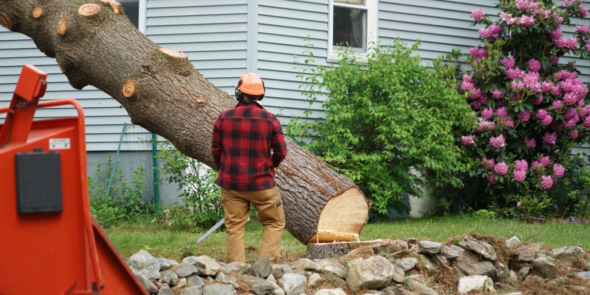 How do I know if a tree needs to be removed?