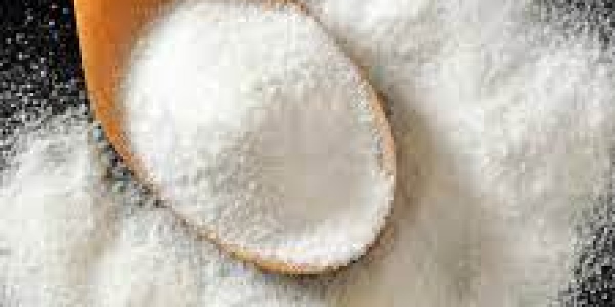 Plant Based Collagen Market: Global Forecast and Future Growth Potential Through 2032