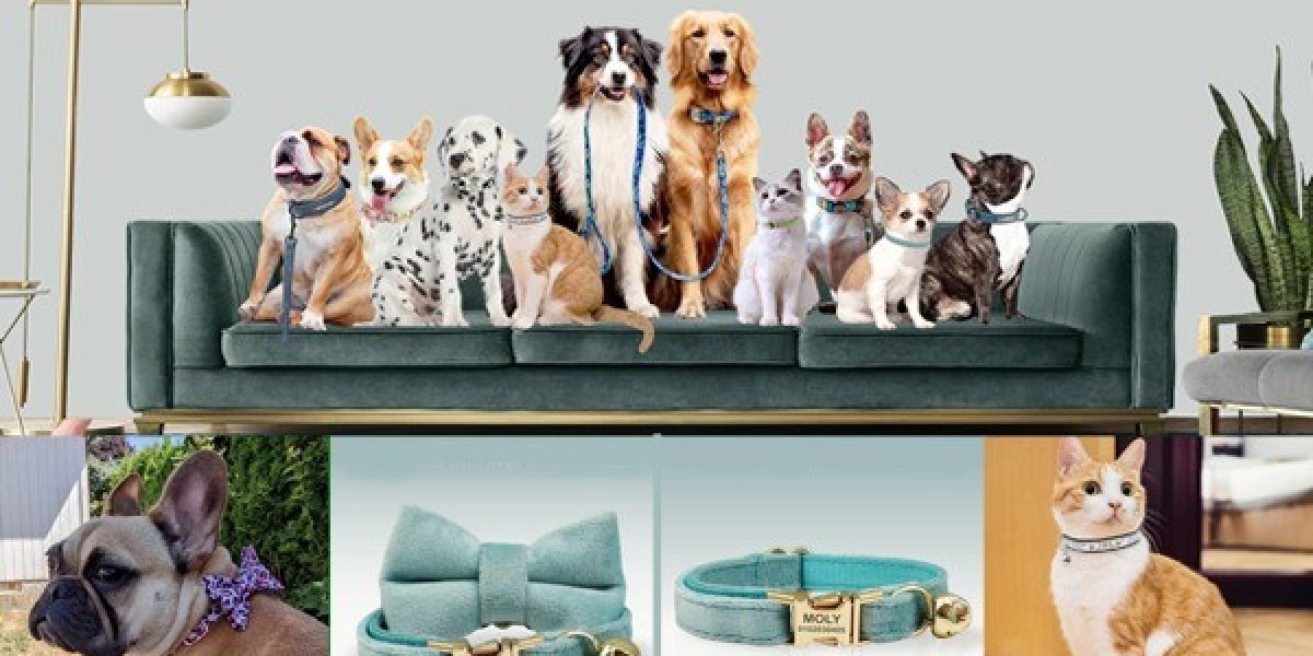 Celebrate Your Pet’s Personality with Stylish Everyday Accessories