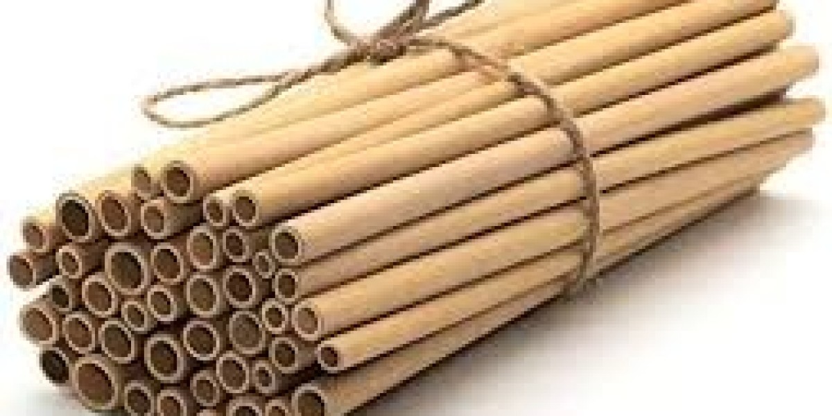 Eco-Friendly Straws Market Regulatory Impact and Environmental Benefits Explored Thoroughly