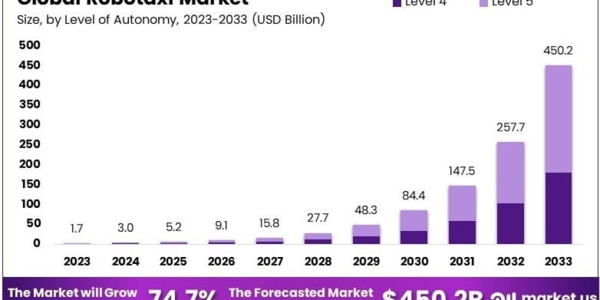 Navigating the Robotaxi Boom: Market Growth, Challenges, and Innovations