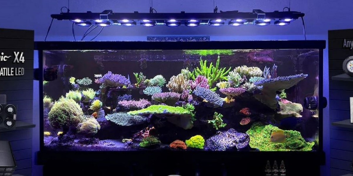 Transform Your Reef Tank with the Best Wave Maker and LED Reef Lighting