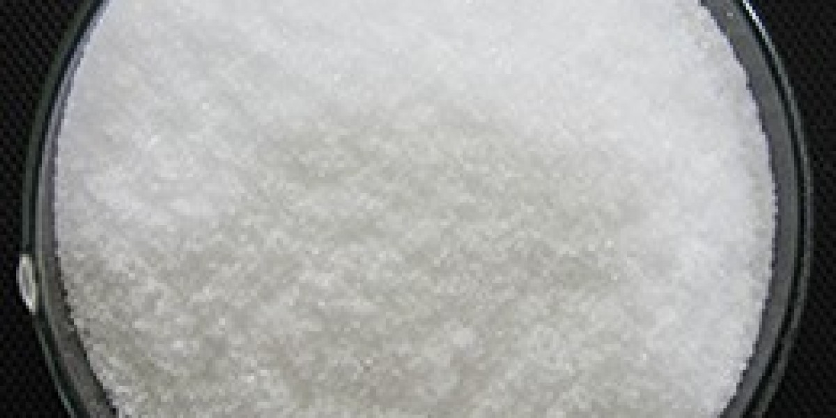 Choline Bitartrate Market Size Driving Demand with Strategic Trends and Nutritional Insights