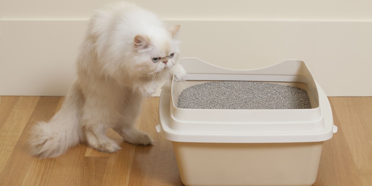 Cat Litter Market Technological Innovations in Odor Control and Absorption