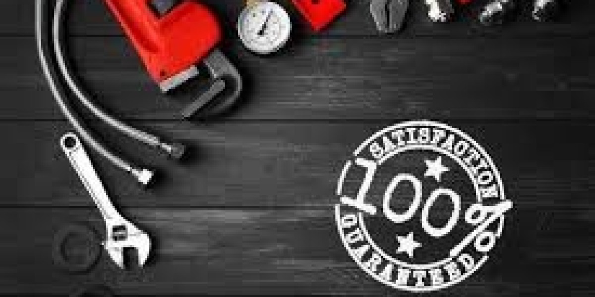 Expert Plumbing Repairs and Drain Cleaning in Bellevue