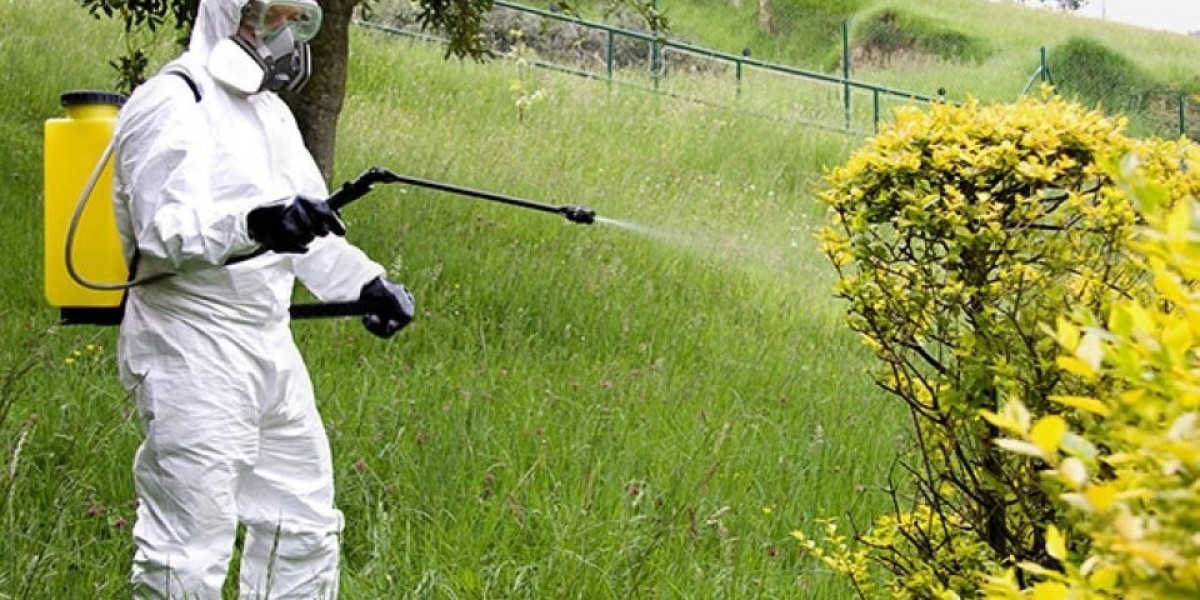 Bioinsecticides Market Dynamics Highlighting Challenges and Opportunities in Biopesticide Product Development