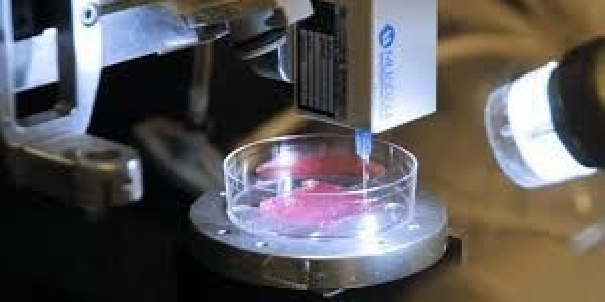 3D Bioprinting Market Outlook: Global Insights and Forecast 2021–2030