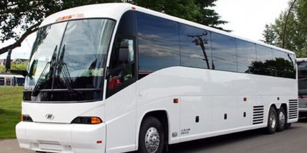 What standard amenities are included in a full-size charter bus?