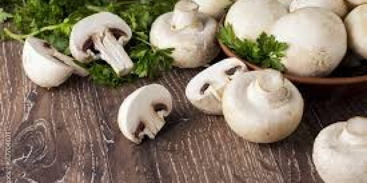 Mushroom Market Dynamics: Unpacking the Forces Shaping Industry Evolution