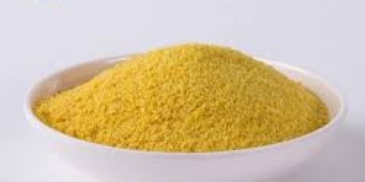 Trends and Forecasts in Global Poly Aluminum Chloride Market With Regional Insights 2030