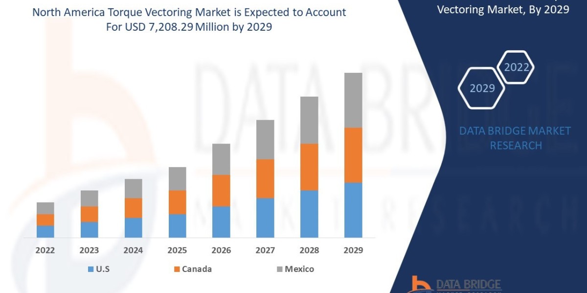 North America Torque Vectoring Market Business Insights, Growth, Sector Development and Vision