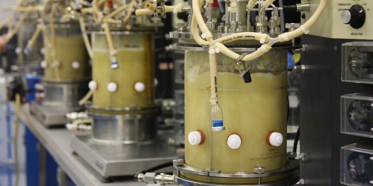 Global Fermentation Chemicals Market: Powering the Bio-Based Economy