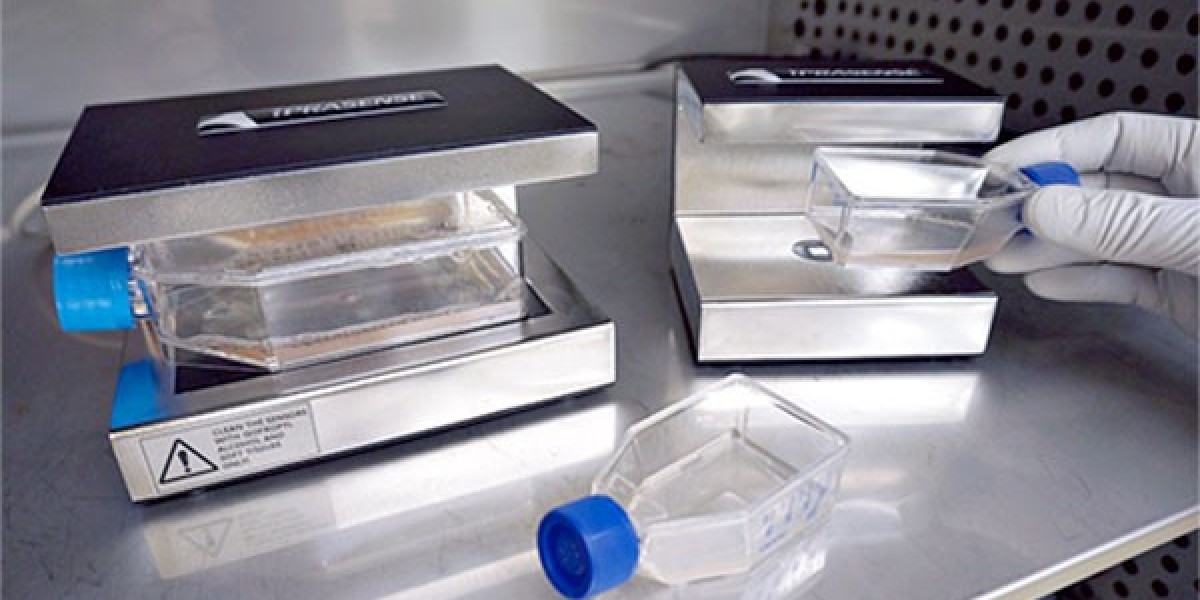 Live Cell Monitoring Market Forecast Predicts Rising Adoption in Drug Discovery and Development Sectors