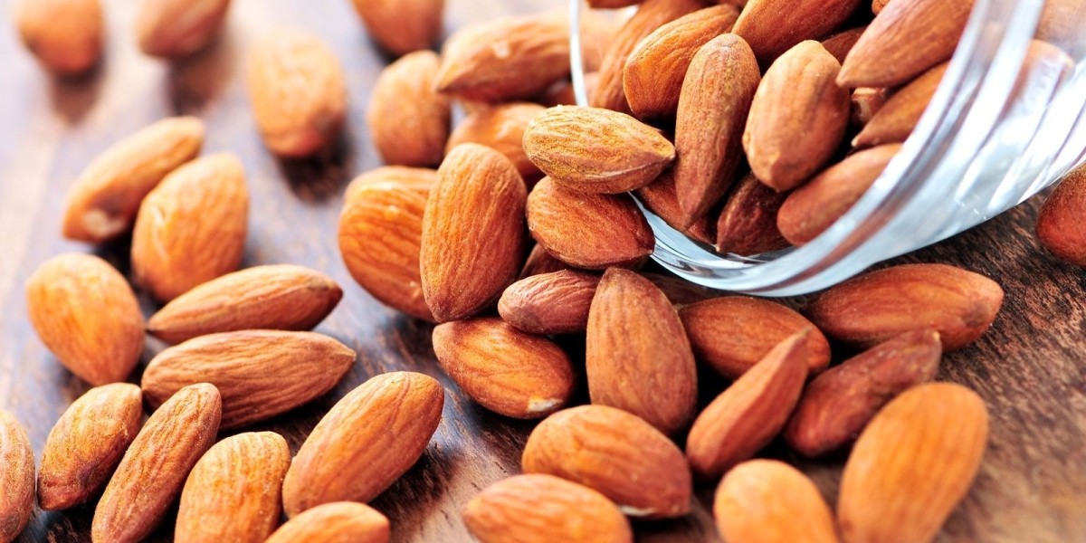 Exploring the Plan for Almond Processing Plant Project: Detailed Report by IMARC Group