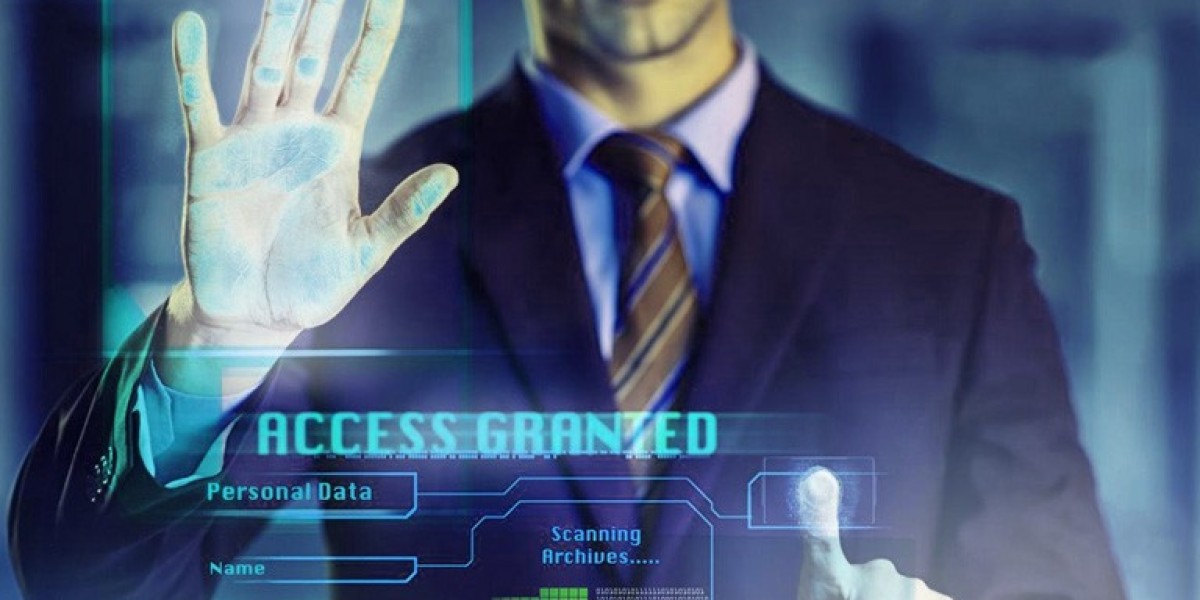 Hire a Virtual CISO: Affordable Cybersecurity Expertise for Growing Businesses