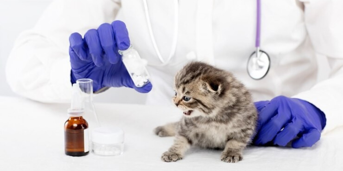 Companion Animals Drug Market Dynamic Trends Transforming Veterinary Pharmaceutical Industry Rapidly