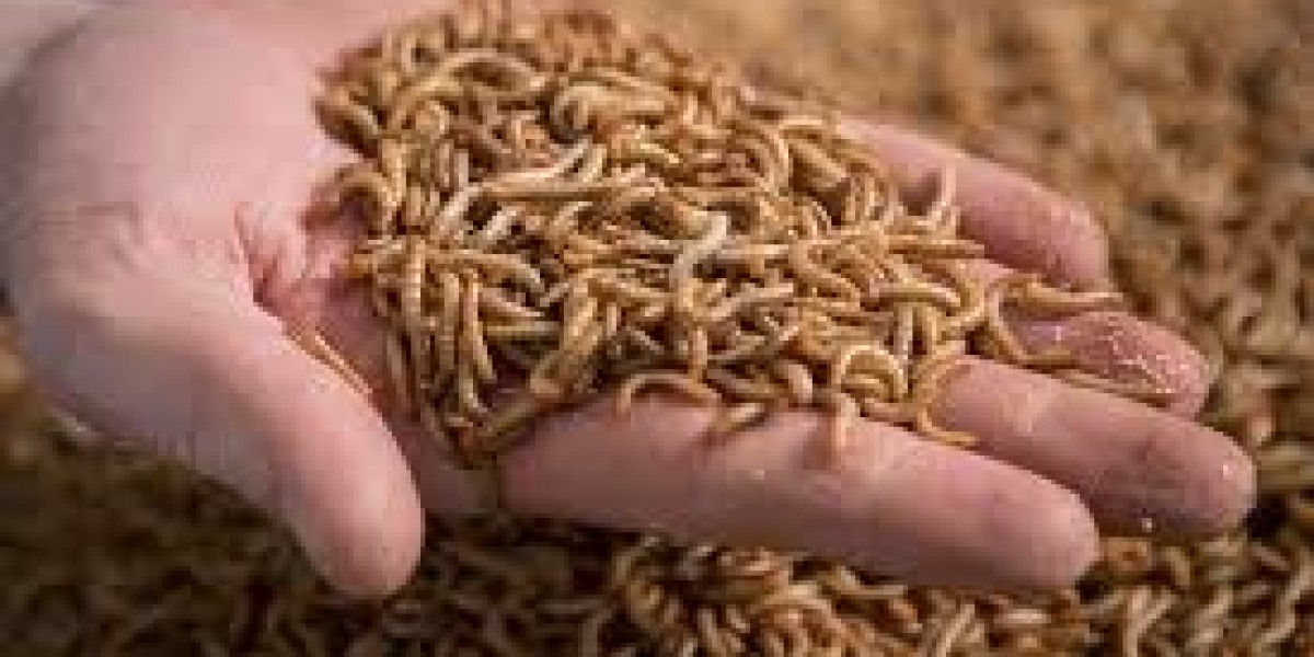 Insect Protein Market Booming Due To Eco-Conscious Consumer Food Preferences