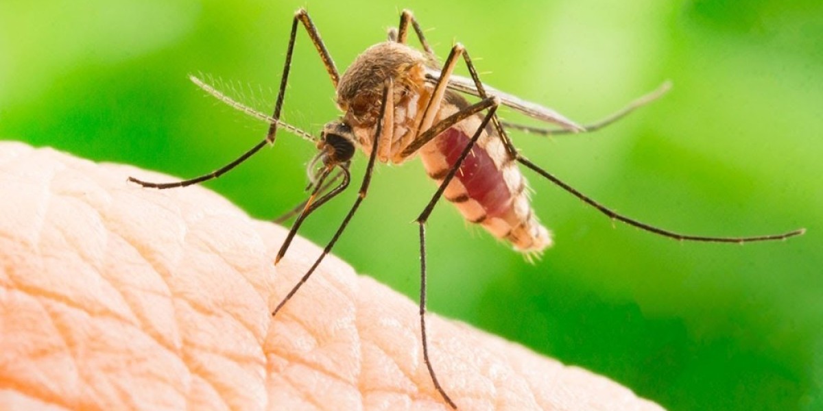 Mosquito Control Market Expansion Across Asia and Latin America