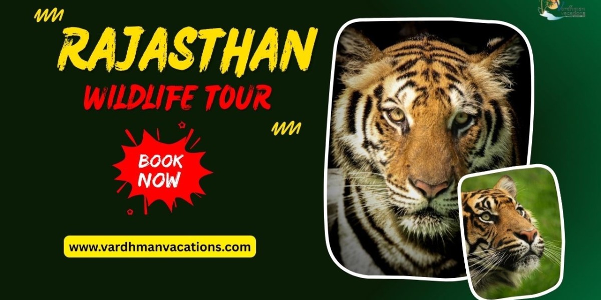 Rajasthan Wildlife Tour: Discovering the Heart of Nature