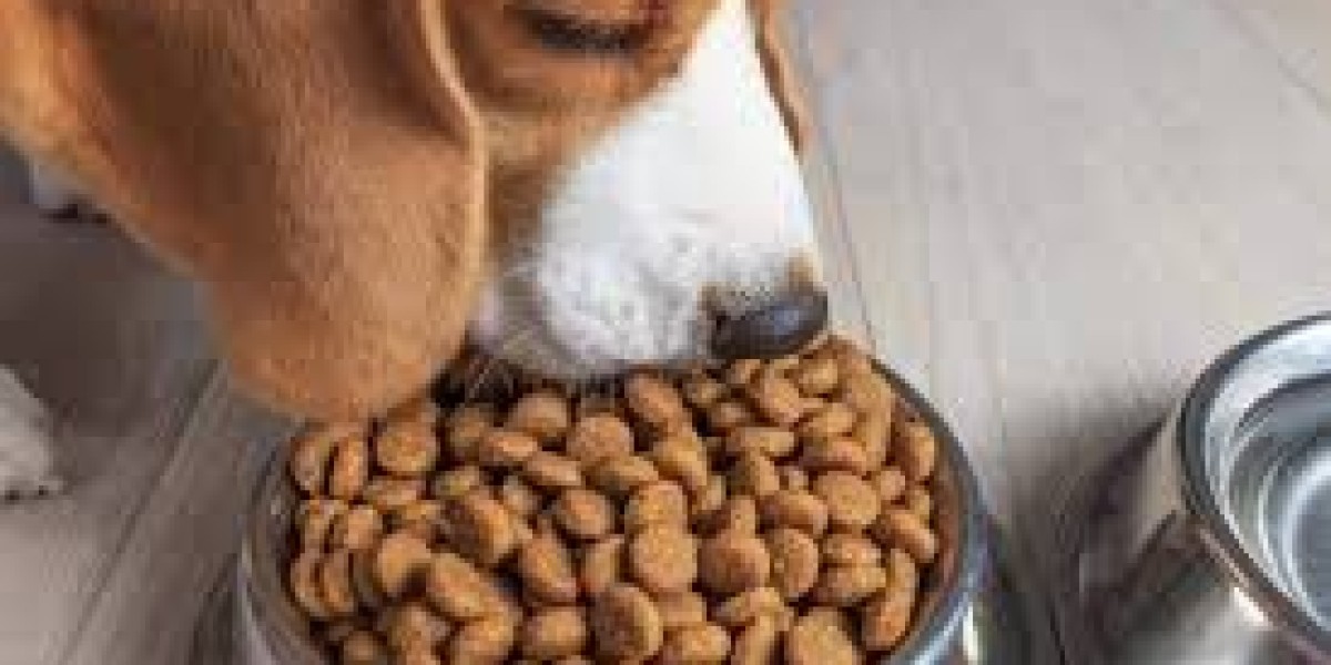 Pet Food Market Veterinary Product Demand
