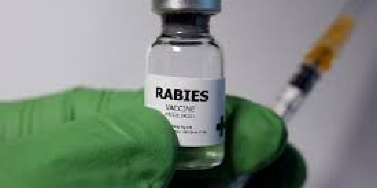 Human Rabies Vaccines Market Strategic Moves Shaping Global Public Health Priorities