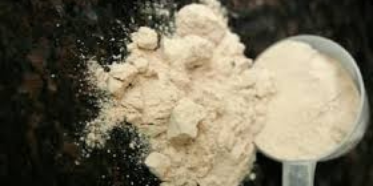 Hexane-free Protein Market Trends Influenced by Regulatory Policies and Environmental Sustainability Goals