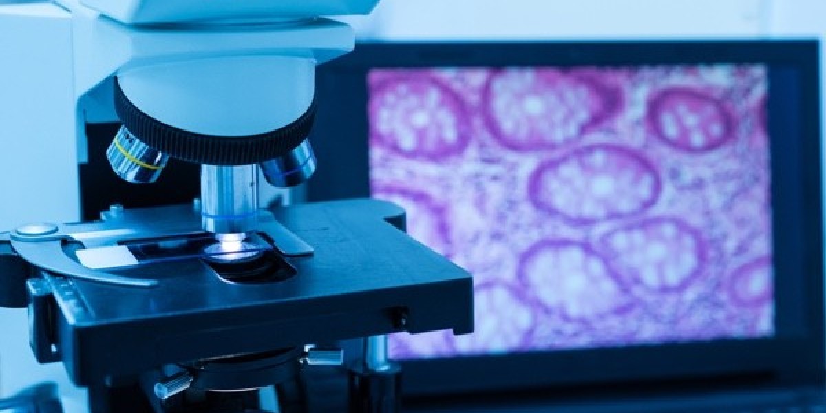 Digital Pathology Market Report: Trends & Forecast 2025–2033