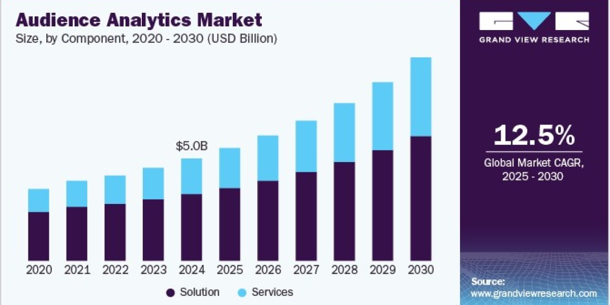 Audience Analytics Market Measuring ROI in Marketing Campaigns
