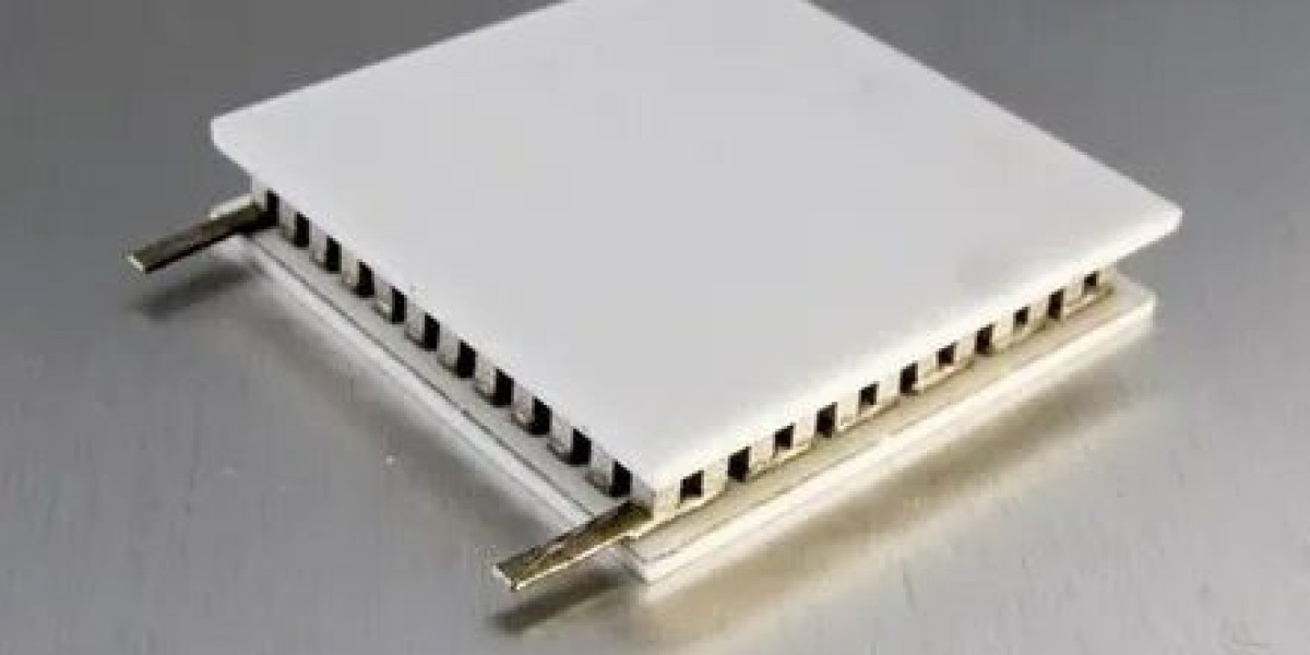 Electronics Weighing Modules Market Is Booming Worldwide | VPG, SCAIME, LAUMAS