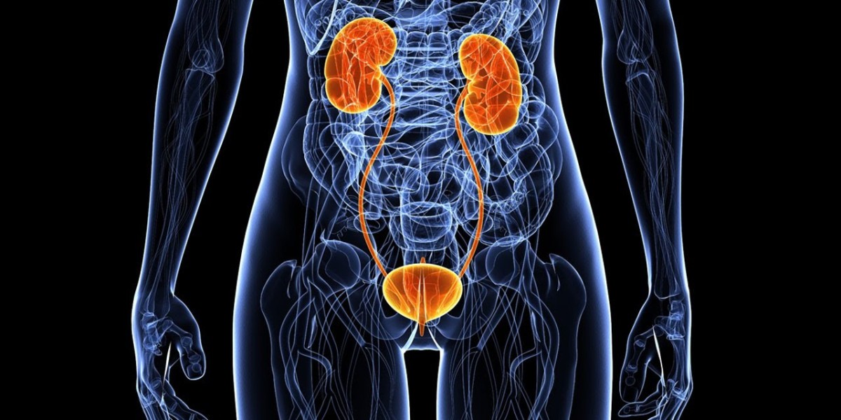Lupus Nephritis Treatment Market Size, Trends, and Growth Forecast 2025-2032
