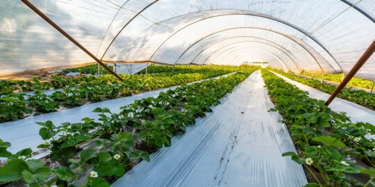 Agricultural Films Market Intelligence Unveils Key Insights into Growth, Innovation, and Regional Dynamics