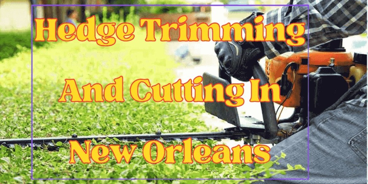 Professional Tree Removal Services in New Orleans