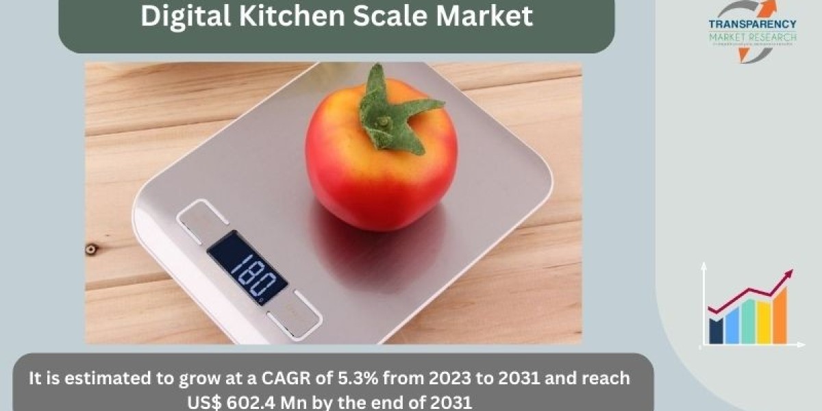 Precision Meets Convenience: Growth of the Digital Kitchen Scale Market