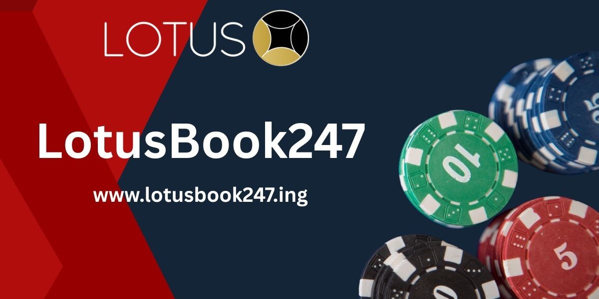 Card Games at Dawn: Why LotusBook247 Attracts Early Risers